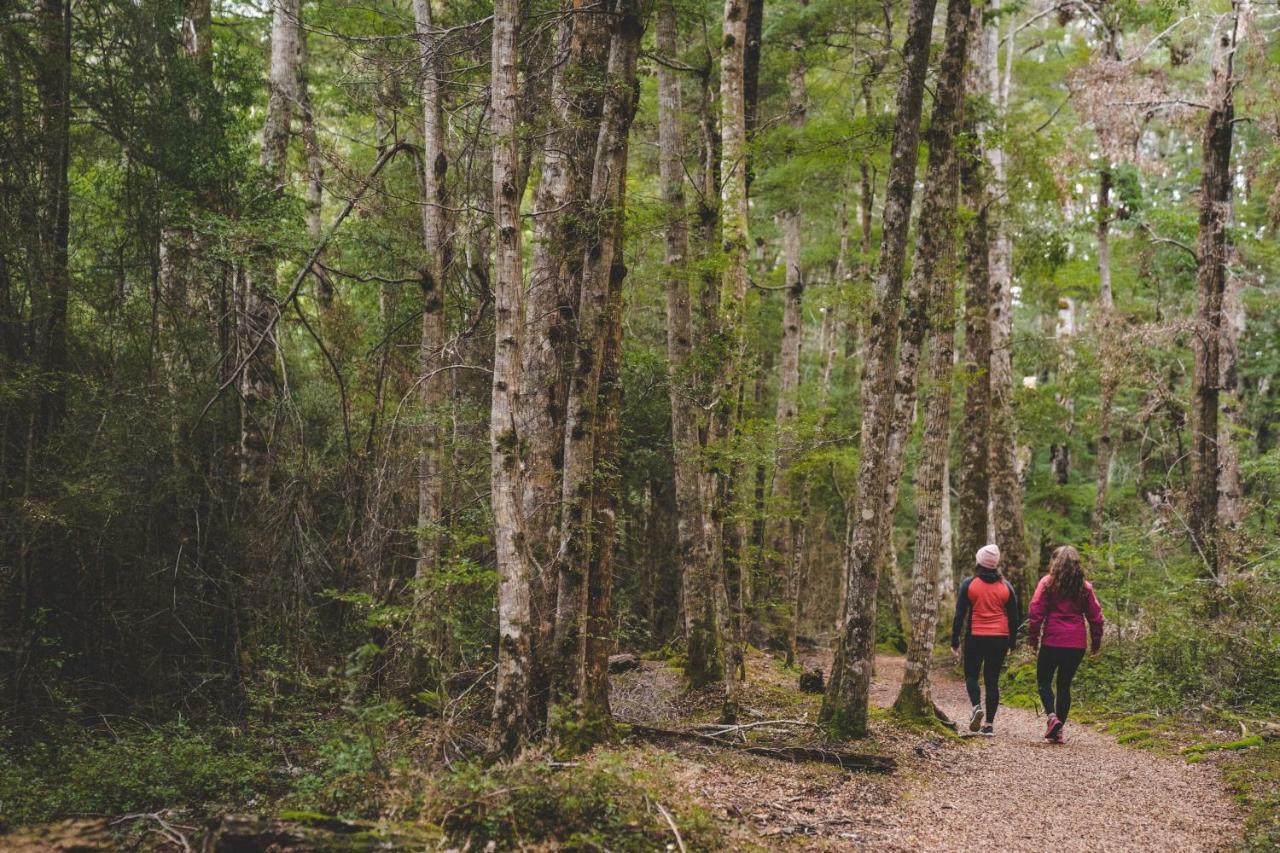 테아나우 Lone Moose Backpackers 호스텔 외부 사진